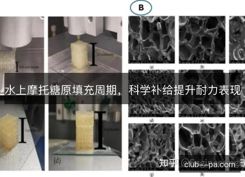 水上摩托糖原填充周期，科学补给提升耐力表现
